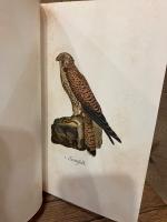 【インゼル文庫515番】猛禽類の小さな本　Das kleine Buch der Greife. Einheimische Raubvogel. Mit einem Geleitwort von Otto Fehringer. [Insel-Bucherei Nr. 515]