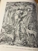 （独）モーリッツ・フォン・シュヴィント　カルクシュミット著　Moritz von Schwind. Der Mann und das Werk. Mit 128 Abb. 21 Vignetten und 8 Farbtafeln.