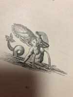 【初版】（独）カリカチュアにおける女性　エドゥアルト・フックス　1906年初版布装　Die Frau in der Karikatur