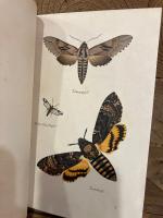 【インゼル文庫226番】　Das kleine Buch der Nachtfalter. Kolorierte Stiche von Jakob Hubner. Geleitwort von Friedrich Schnack.   [Insel-Bucherei Nr. 226]