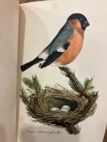 【インゼル文庫100番】　Das kleine Buch der Vogel und Nester. Farbige Bilder von Fritz Kredel.   [Insel-Bucherei Nr. 100]