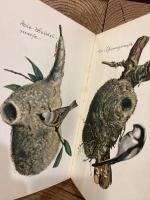 【インゼル文庫100番】　Das kleine Buch der Vogel und Nester. Farbige Bilder von Fritz Kredel.   [Insel-Bucherei Nr. 100]