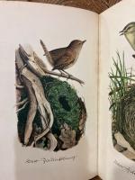 【インゼル文庫100番】　Das kleine Buch der Vogel und Nester. Farbige Bilder von Fritz Kredel.   [Insel-Bucherei Nr. 100]
