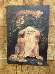 （英）ウィリアム・ブレーク写本全集第6巻　ユリゼンの書　The Urizen Books. The First Book of Urizen. The Book of Ahania. The Book of Los. Edited with Introductions and Notes by David Worrall. Blake's Illuminated Books Volume 6 General Editor David Bindman.