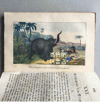【ドイツ19世紀初頭児童書】（独）動物物語～男女問わず青少年指導のために書かれた～　ヨーハン・ブルクハルト・ロートハッカー著　1837年刊行　Auserlesene Geschichten aus der Thierwelt. Zur Belehrung und Unterhaltung f〓r die Jugend beiderlei Geschlechts gesammelt und herausgegeben