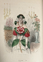 （仏）花の幻想（生命を与えられた花々）1867年ガルニエ新版 2冊揃い J. J. グランヴィル挿絵 タクシル・ドロール文 アルフォンス・カール序文 Les fleurs animées.