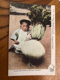 戦前絵ハガキ　日本一大根　豊かなる、恵まれたる島、大いなる収穫、大なるは三十九粁瓦もある　名物桜島大根（鹿児島）　The big radish Produced in Sakurajima, Kagoshima