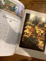 まほうのゆびわ : ロシア民話集