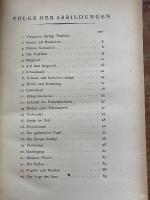 (独) カイルアンあるいは画家クレーと同時代芸術の物語　ヴィルヘルム・ハウゼンシュタイン　Kairuan oder eine Geschichte vom Maler Klee und von der Kunst dieses Zeitalters. Mit 45 Abbildungen.