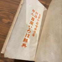 新語挿入 日用いろは辞典