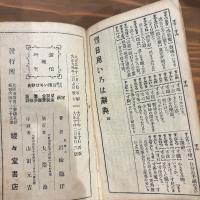 新語挿入 日用いろは辞典