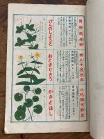 自然の恩恵　薬用植物　
