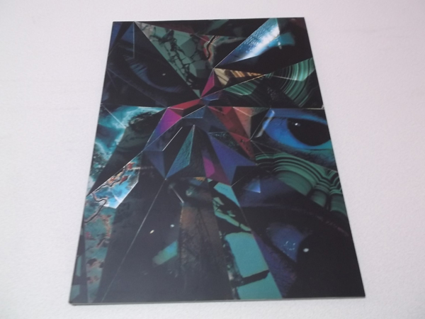 ルナシー LUNA SEA 1996ツアーパンフ UN ENDING STYLE TO RISE