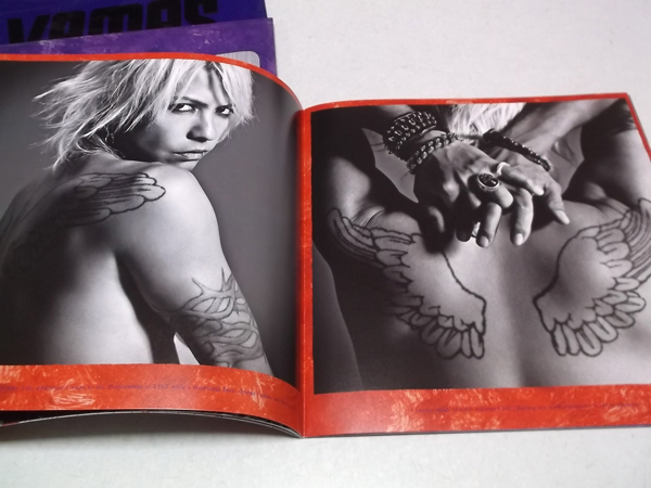 VAMPS LIVE 2010 BEAST ARENAパンフ バッグ付 ☆ ラルクアンシエル