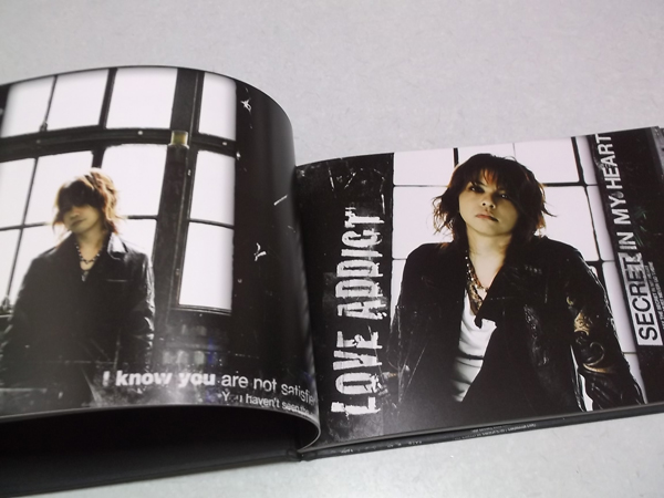 VAMPS LIVE 2009 ARENA ツアーパンフ ☆ ハイド HYDE / 古本、中古本