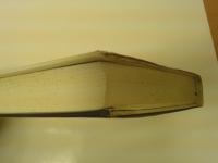 混沌からの秩序