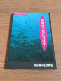 富山湾の魚たちは今