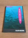 富山湾の魚たちは今
