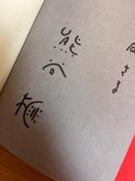 女ひとり氷河を滑る