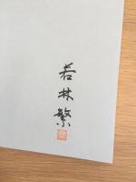 らいちょう : 厳しい自然の中に生きる立山の雷鳥 若林繁写真集