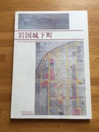 岩国城下町 : 岩国市岩国地区伝統的建造物群保存対策調査報告書