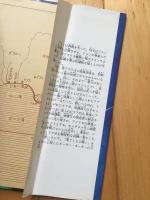 反どれい船