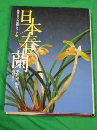 日本春蘭　＜趣味のラン科植物シリーズ1＞