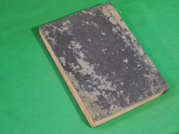 組織概要 （明治期の医学書の写し？） / ALFA音響 / 古本、中古