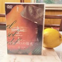 シネフィルに捧ぐ「マルメロの陽光('92スペイン)」ヴィクトル・エリセ監督1992作品