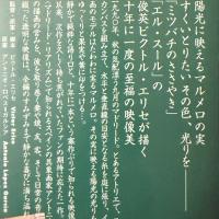 シネフィルに捧ぐ「マルメロの陽光('92スペイン)」ヴィクトル・エリセ監督1992作品