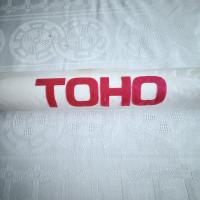 感謝‼️GOZDILLAゴジラVSビオランテ1989toho 映画B2ポスター大森一樹監督