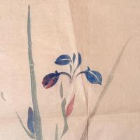 U様①30枚　まくり