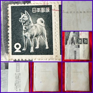 忠犬ハチ公 初日カバー 郵便はがき 郵便文化部発行 昭和28年8月