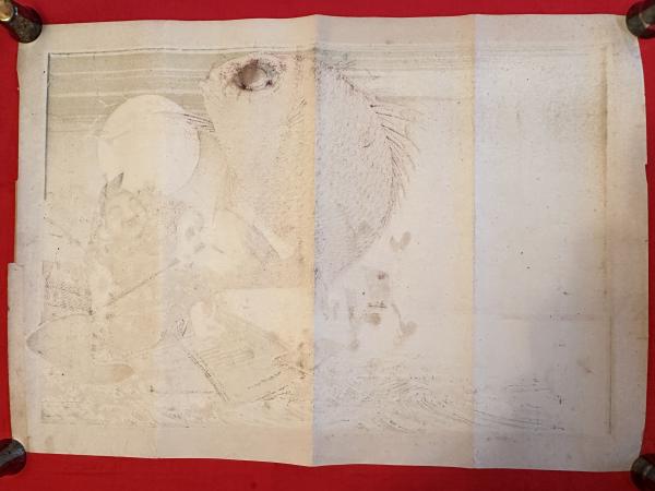 金沢市 引き札 はみだす傑作‼️明治の引き札貴重な史料【石版画