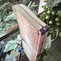 妖怪変化と釈迦‼️不世出の愛蔵書『釈尊御一代記図会』全6冊合本　弘化二年刊行　二冊