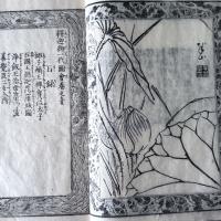 妖怪変化と釈迦‼️不世出の愛蔵書『釈尊御一代記図会』全6冊合本　弘化二年刊行　二冊
