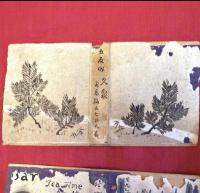 満洲帝國消印煙票‼️昭和13年頃『煙草パッケージ』コレクション10点