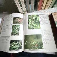 漢方の真髄‼️フルカラー‼️貴重な中国語による薬草図鑑中國本草圖錄　10巻揃い