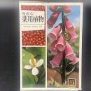 身近な薬用植物　（カラーブックス566）