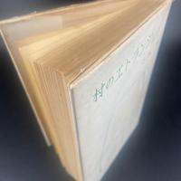 村のエトランジェ