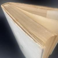 村のエトランジェ