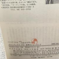 世界のショッピング〈カラーブックス〉