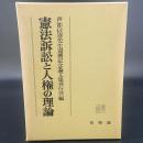 憲法訴訟と人権の理論