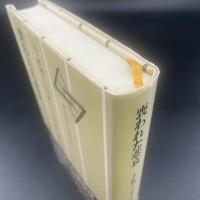 喪われた悲哀：ファシズムの精神構造