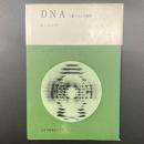 DNA　二重らせんの秘密