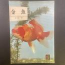 金魚〈カラーブックス34〉