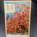 木の実　草の実（カラーブックス）433