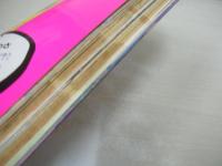 写真探偵団　1985年09月号　矢野有美 表紙　藤原理恵　若林志穂　鹿野由美　斉藤優　斉藤智子　高野美枝　堀江しのぶ　森下恵理　徳丸純子　森田まゆみ　中山美穂　加藤香子　佐々木教　藤原理恵(インタビュー記事)　若林志穂(インタビュー記事)　※画像の様に巻頭1頁目に折れ跡+側面に汚れ出ています。