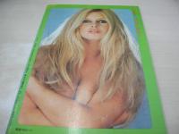 HEY!GIRL　NO.2　ヘイ!ガール　別冊ベンチャーコミック創刊　1974年11月号　梢ひとみ・4折ピンナップ(対面はDore Honex)　シャロン・ケリー・巻頭グラビア　山科ゆり　水野明美・巻中3折ピンナップ　高橋洋子　シルビア・クリステル　ラウラ・アントネッリ　マリー・フォルサ　上原夏子　根岸玲子　カトリーヌ・ドヌーブ　※画像の様に表紙面に傷汚れ出ています。
