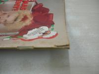 洋書　Celebrity Skin　セレブリティ・スキン　1997年　ハリウッド　1997年カレンダー付　※画像の様に背上部に破れ、角に折れ痛み出ています。  
